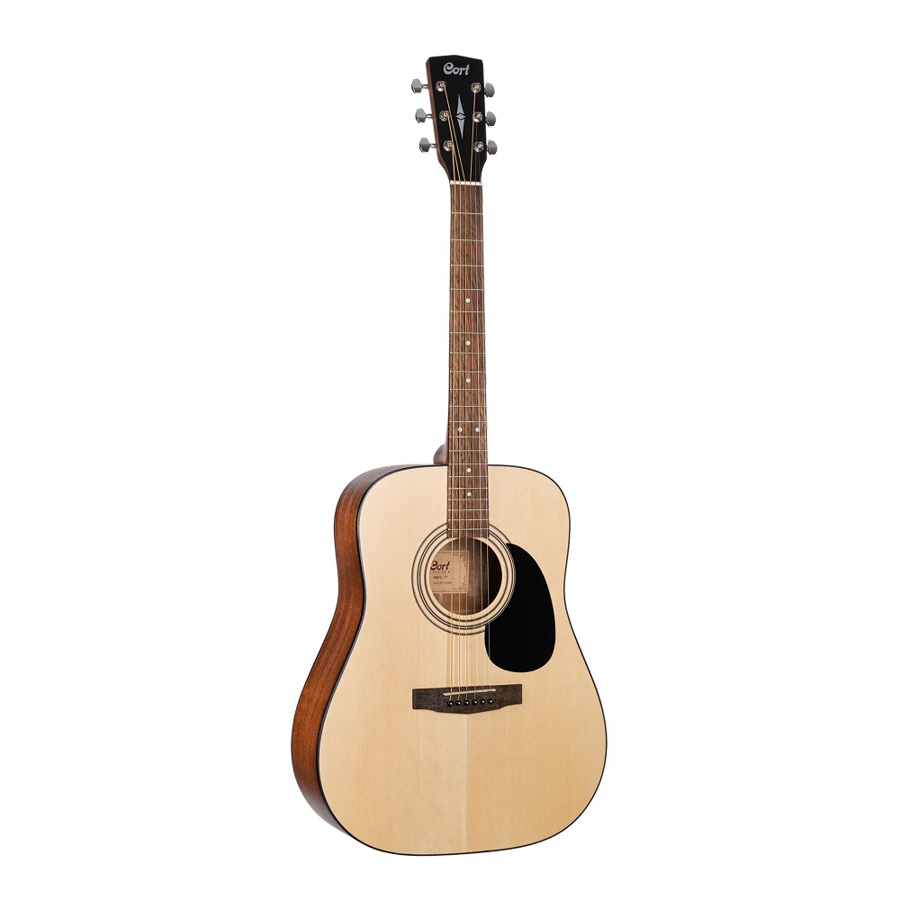Acoustic Guitar Rental - AKL Guitar Studio